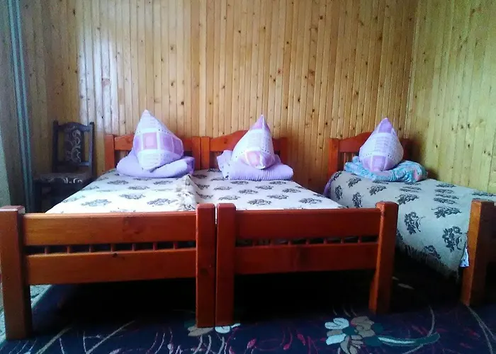 Sadyba Zavitaiko